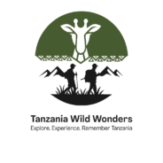 tanzaniawildwonders.com